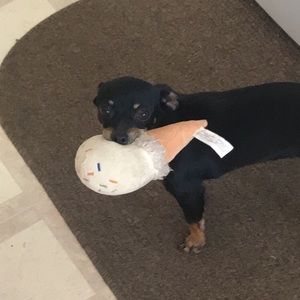 Meet your Posher, Frankie